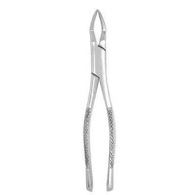 Extracting Forceps #65