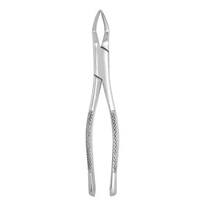 Extracting Forceps #65