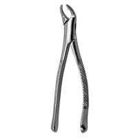 Extracting Forceps #151