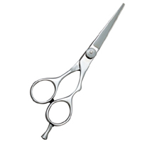 Barber Scissors